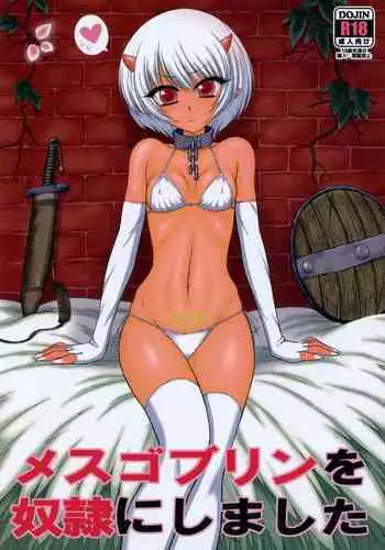 [BLACK DOG (Kuroinu Juu)] Mesu Goblin o Dorei ni Shimashita [Chinese] [小俠個人漢化] [2017-05-20]