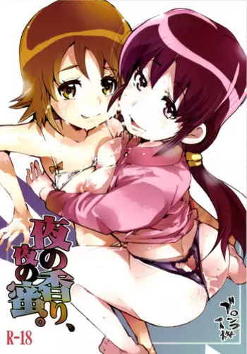 [Bronco Hitoritabi (Uchi-Uchi Keyaki)] Yoru no Kaori, Yoru no Mitsu. (HappinessCharge Precure!) [Digital]