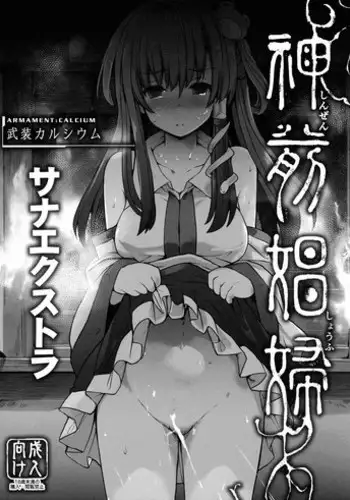 (C91) [Armament Calcium (Take Calcium)] Shinzen Shoufu -Sanaextra- (Touhou Project) [English] [H-Konbini]