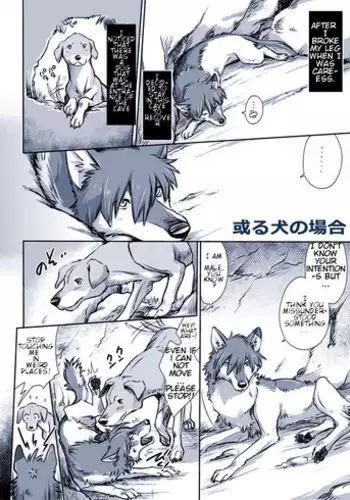 [Souko Souji] Aru Inu no Baai | A certain dog's situation (Ookami Kodomo no Ame to Yuki) [English] [alphya04]