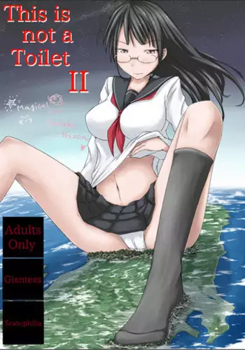 (C80) [Ochikonium (Terada Ochiko)] Koko wa Toile dewa Arimasen II | This is not a Toilet II [English]