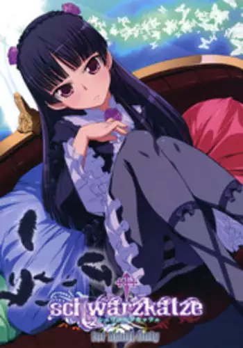 (C79) [Miyanchi (Miyagoe Yoshitsuki)] schwarzkatze (Ore no Imouto ga Konna ni Kawaii Wake ga nai)