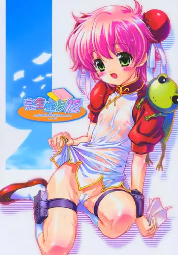 (C66) [Studio Rakkyou (Ashisyun, Takase Yuu)] Kanzen Nenshou 12 (Read or Die)