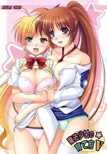 [K-Drive (Narutaki Shin)] Mahou Shoujo no Sodatekata V (Mahou Shoujo Lyrical Nanoha) [Digital]