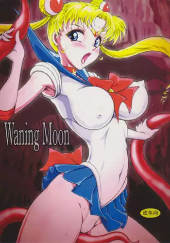 (C88) [Taiyoukei Kaihatsu Kikou (Marubayashi Shumaru)] Waning Moon (Bishoujo Senshi Sailor Moon)