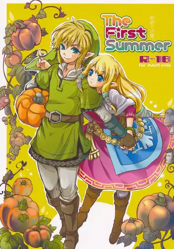 (HaruCC18) [Usagi paradise (Misa)] Hajimete no Natsu. ~The First Summer~ (The Legend of Zelda: Skyward Sword)